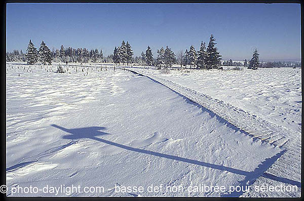 les Hautes Fagnes